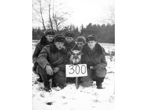 Foto 16